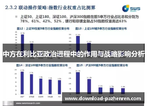 中方在利比亚政治进程中的作用与战略影响分析 中方在利比亚政治进程中的作用与战略影响分析
