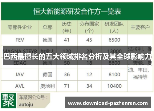 巴西最擅长的五大领域排名分析及其全球影响力 巴西最擅长的五大领域排名分析及其全球影响力