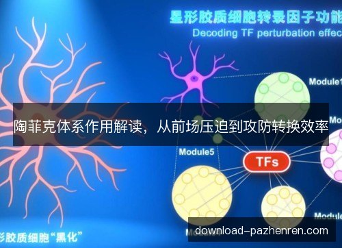 陶菲克体系作用解读，从前场压迫到攻防转换效率